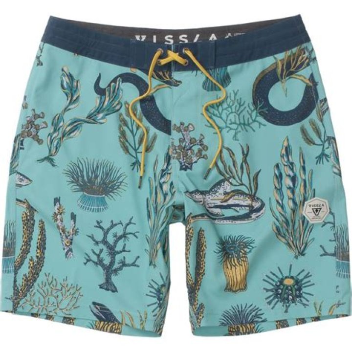 Discover Vissla: Surf's Up!