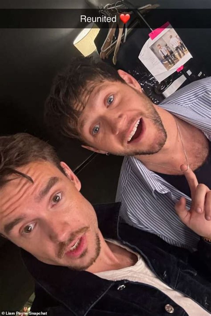 Liam Payne: Was He Gay?
